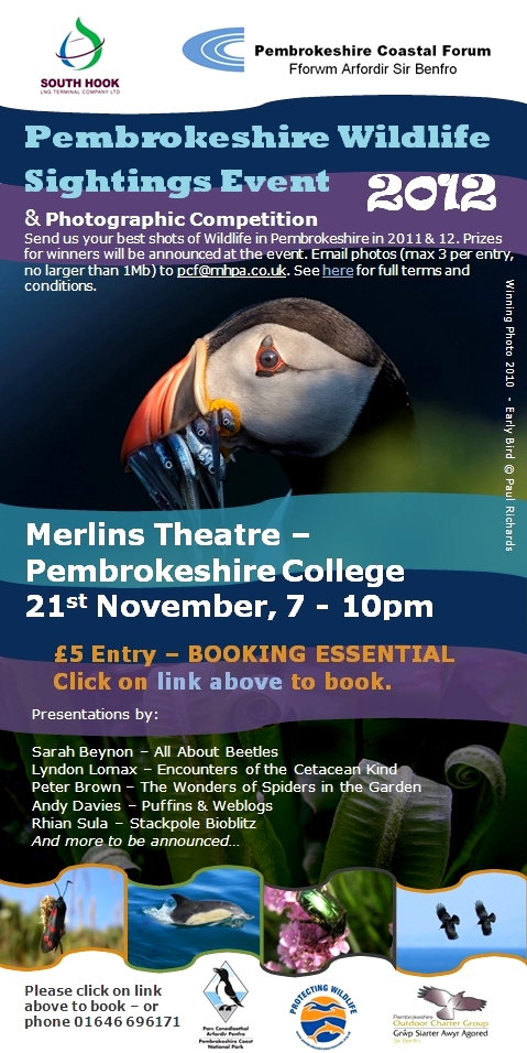 WS Event Flyer 2012